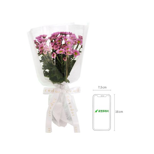 사랑과 관심을 담은 매력적인 보라미 소국 꽃다발