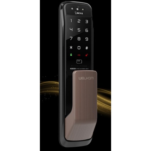 솔리티 얼굴인식 무타공 푸시풀 도어락 WP-500A, 방문설치