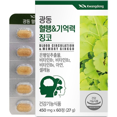 광동 혈행 &기억력 징코 27g, 60정, 1개