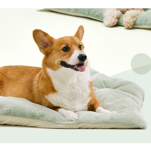 반려동물의 편안한 휴식을 위한 최고의 선택