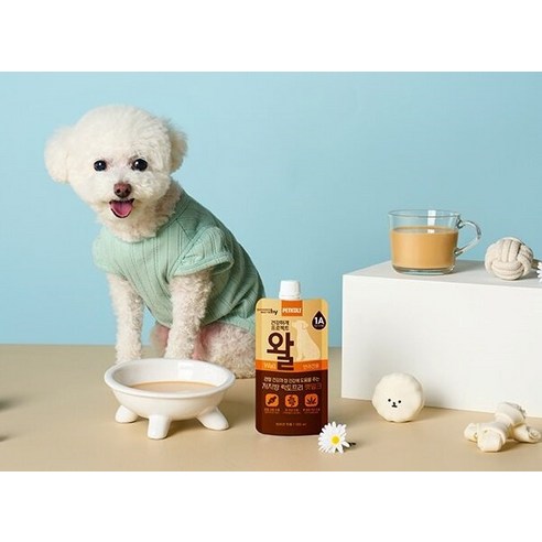 우리 댕댕이, 꿀피부 & 튼튼 장 건강! 펫쿠르트 왈 펫 분유로 건강하게!