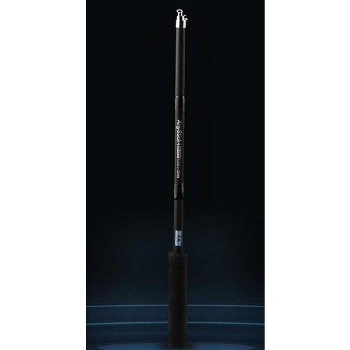 낚시에 뛰어들기 위한 완벽한 솔루션: 하나로 피라미 애니스틱 낚시대 세트