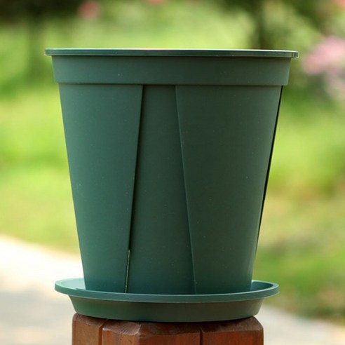 물 주는 게 두려운 초보도 안심! 앙플랜트 슬릿화분으로 뿌리 건강 지키고 싱그러운 식물 생활 시작하세요.