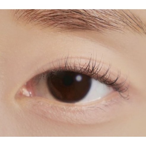 매끈하고 블러링된 아름다운 눈동자를 위한 딘토 블러피니쉬 아이 섀도우