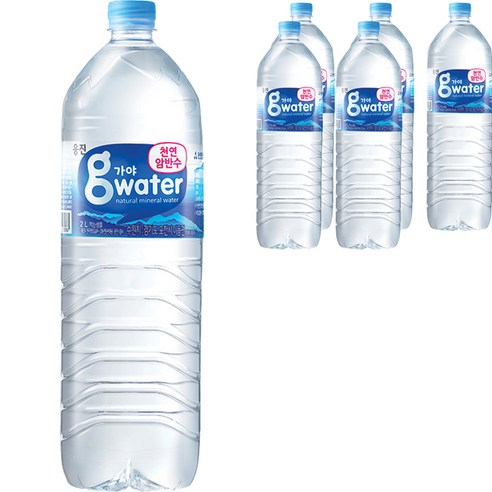 가야G워터 생수, 6개, 2L