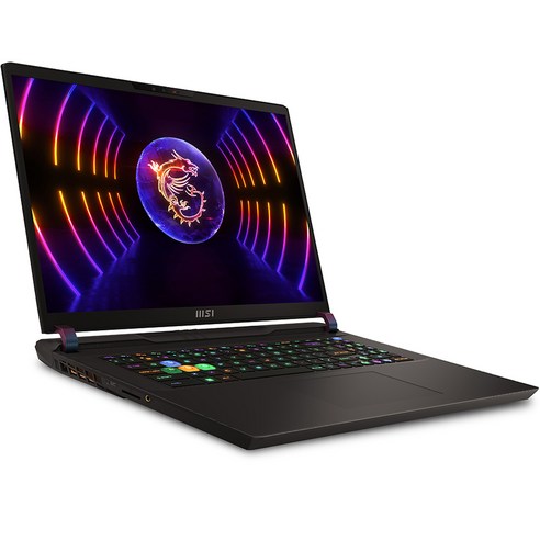 MSI 2023 VECTOR GP78 17, 코스모스 그레이, 코어i9, 4TB, 32GB, Free DOS, MS-17S