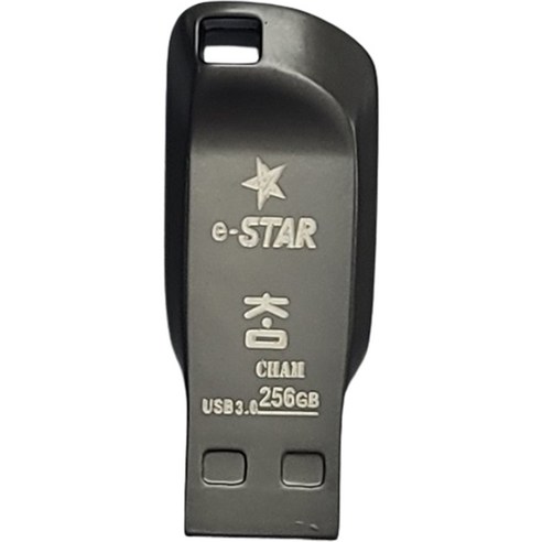 eSTARSSD 3 USB 메모리 그레이 CHAM, 256GB