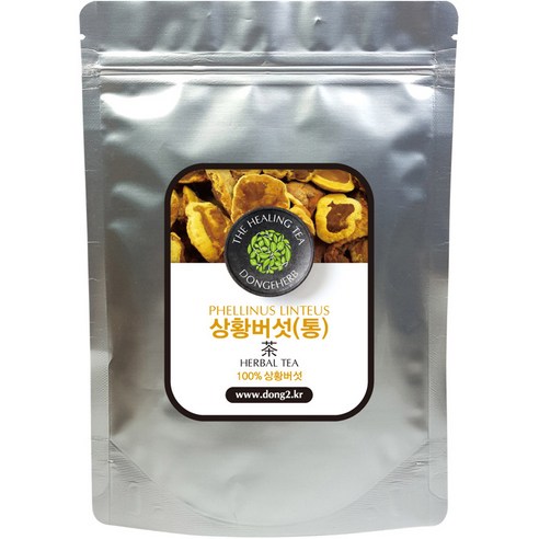 동이약초 상황버섯 통, 150g, 1개