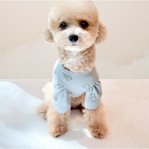 伴侶  寵物產品  小狗  貓  組合使用  服裝  T卹  狗  狗  狗