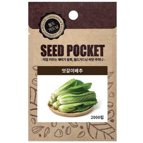 월드가드닝 엇갈이배추 씨앗 2000p, 1개