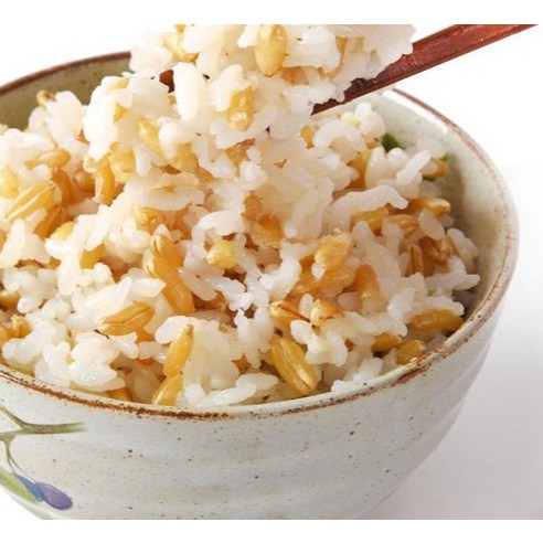 속 편한 빵 생활, 호라산밀로 시작하세요!