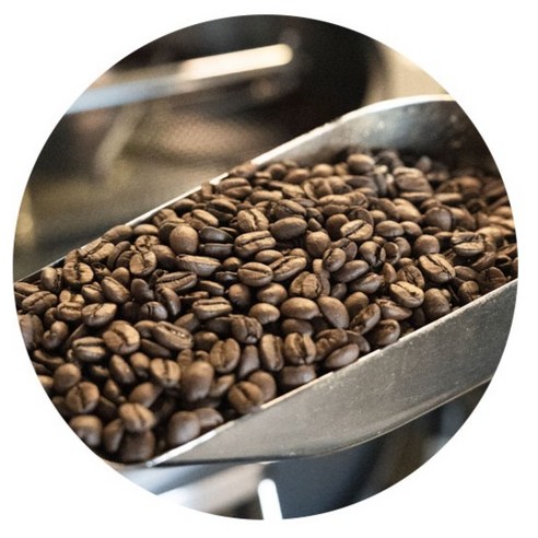 에티오피아의 아로마, 탬파카 예가체프 커피 원두의 매혹적인 여정