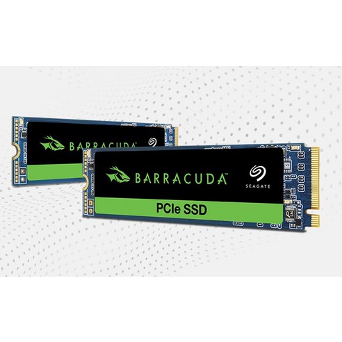 씨게이트 BarraCuda PCIe SSD, ZP500CV3A002, 500GB