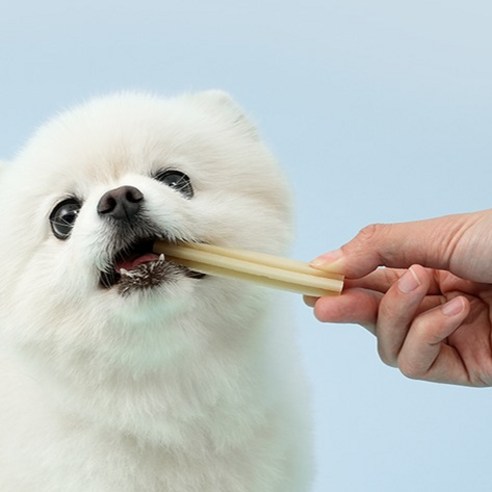 조공 딥브러쉬 덴탈껌: 건강한 치아와 행복한 미소를 위한 최고의 선택