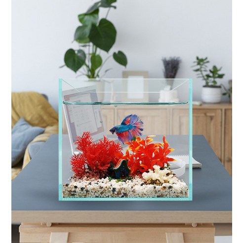 올디아망 어항으로 시작하는 프리미엄 물멍 라이프