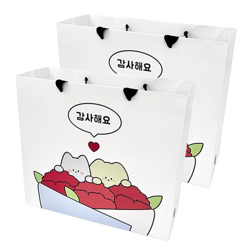 도나와 친구들 카네이션 쇼핑백, 01 감사해요 3호, 2개