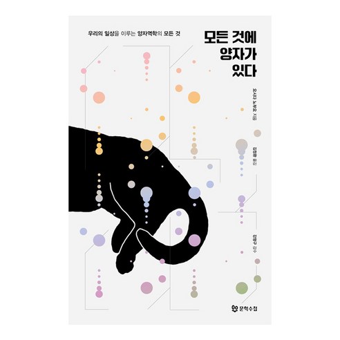 모든 것에 양자가 있다:우리의 일상을 이루는 양자역학의 모든 것, 문학수첩, 요시다 노부오