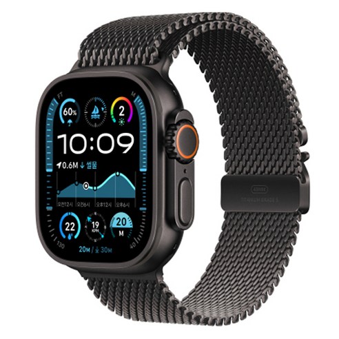 Apple 정품 2024 애플워치 Ultra 2 티타늄 밀레니즈 루프, 49mm, GPS+Cellular, 내추럴 / 내추럴, Large