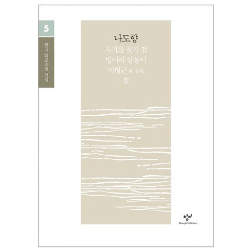 나도향 소설 선집(큰글자도서), 창비