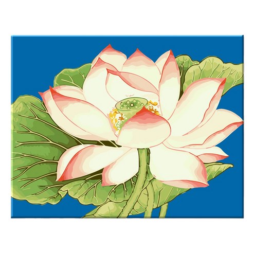 모모픽스페인팅 DIY명화그리기 40 x 50 cm, I67 푸른 연꽃, 1개