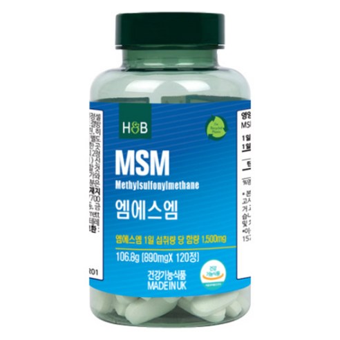 홀랜드앤바렛 엠에스엠 106.8g, 1개, 120정