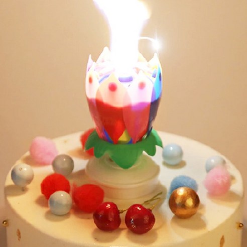 마법 같은 연꽃 초로 특별한 순간을 더욱 빛나게