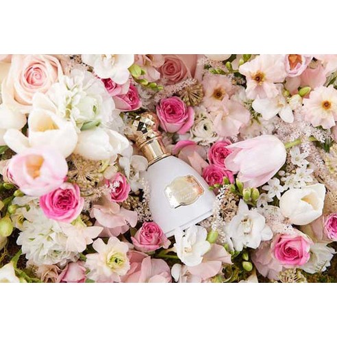 꿈결처럼 다가오는 달콤한 향기, 졸리줄리 빠르펭 드레브 퍼퓸