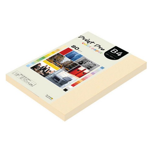 종이문화 프린트 프로 칼라 복사용지 No 02 아이보리 80g, B4, 170개