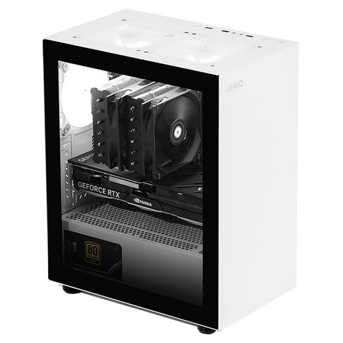 이그닉 2024 인테그 프로 9646T 라이젠5 라이젠 9000 시리즈 지포스 RTX 4060 Ti, 화이트, 32GB, 1TB, Free DOS, IG-ITP00027