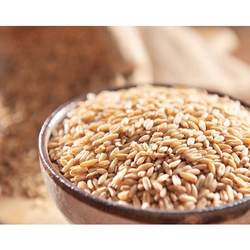 생명의 기운을 담은 더담은 발아현미, 건강한 식탁의 시작