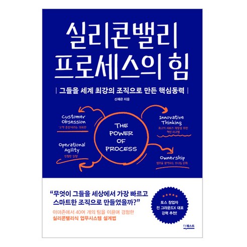 실리콘밸리 프로세스의 힘:그들을 세계 최강의 조직으로 만든 핵심동력, 더퀘스트, 신재은
