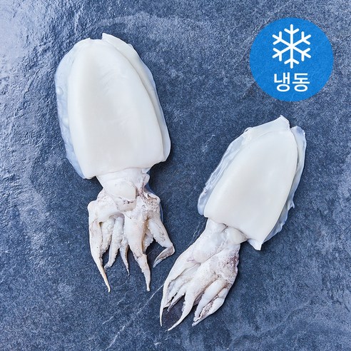 손질통 갑오징어 2미 (냉동), 1개, 200g