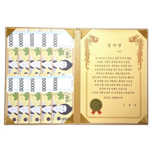 럭키심볼 황금 카네이션 숨어있는 용돈 DIY 속지 + 감사장 케이스 세트, 장모님, 1세트