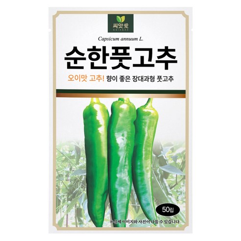 다농 씨앗애 순한풋고추 씨앗 50p, 1개