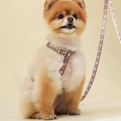 힛찌 강아지 초경량 패턴 부드러운 소형견 H형 하네스, 코코아 브라운, 1개