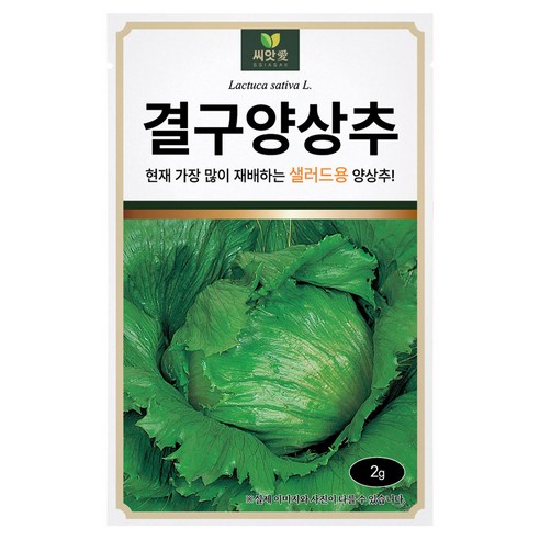다농 씨앗애 결구양상추 씨앗 2g, 1개