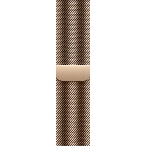 Apple 정품 애플워치 밀레니즈 루프, 골드, 42mm, Regular, 1개