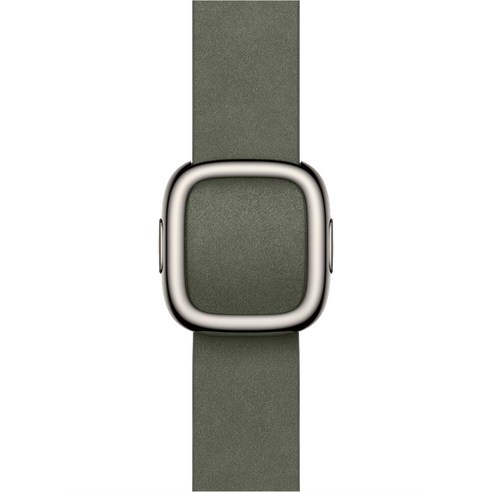 Apple 정품 애플워치 모던 버클, 세이지 그레이, 42mm, Large, 1개