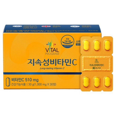 바이탈프로그램 지속성 비타민C 510 30g