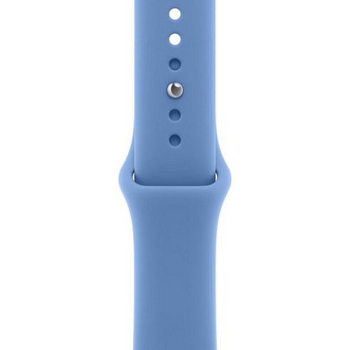 Apple 정품 애플워치 스포츠 밴드, 와일드플라워 블루, 42mm, S/M, 1개