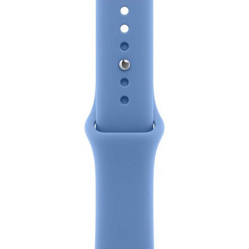 Apple 정품 애플워치 스포츠 밴드, 와일드플라워 블루, 40mm, S/M, 1개