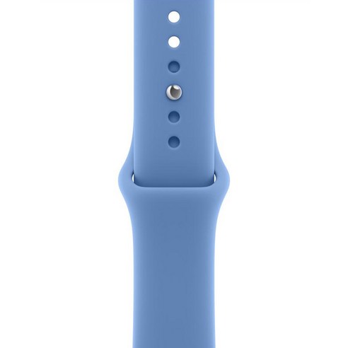 Apple 정품 애플워치 스포츠 밴드, 와일드플라워 블루, 40mm, M/L, 1개