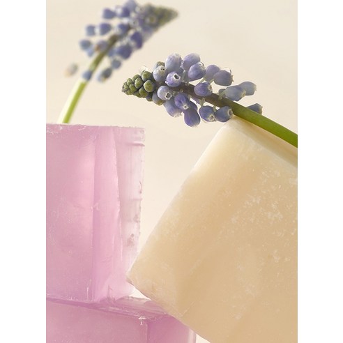 향긋한 라벤더 향으로 힐링하는 촉촉한 샤워