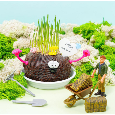 아이들의 상상력을 꽃피우는 마법, 민화샵 토피어리 식물 인형 만들기