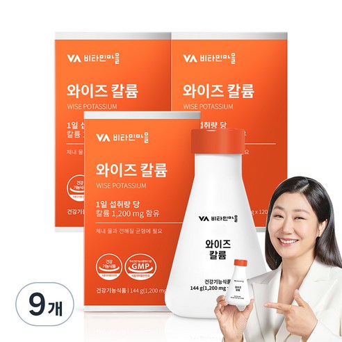 비타민마을 와이즈 칼륨, 120정, 9개