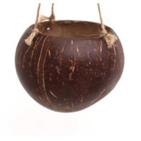 園藝 園藝 用品 園藝 花盆 園藝 花盆 花盆 花盆