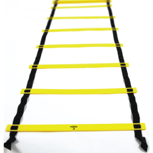 아이워너 스피드 사다리로 민첩성 레벨업!