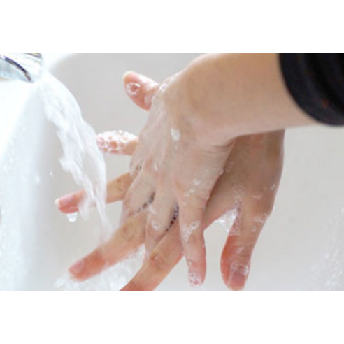 부드러움과 위생을 담은 선택, 식객 천연펄프 핸드타올