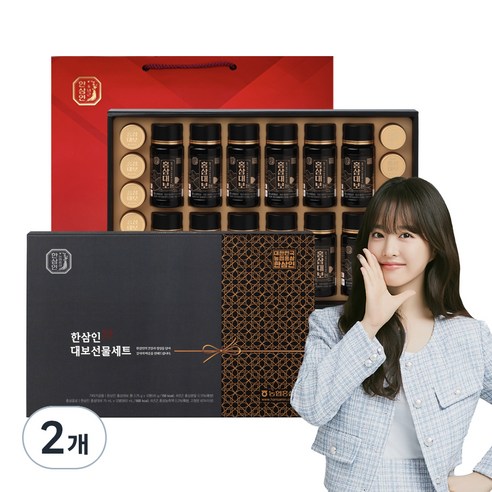 한삼인 홍삼 대보 선물세트 + 쇼핑백, 2개