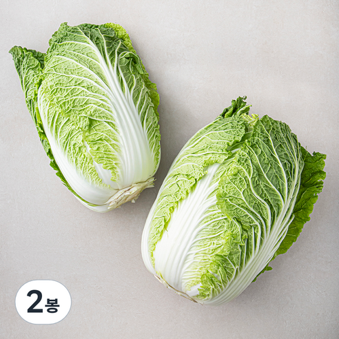 곰곰 국내산 배추, 2개입, 2봉